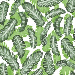 Banana Leaves in Greenery