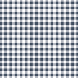 Little Gingham in Navy
