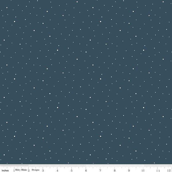Dapple Dot in Stargazer