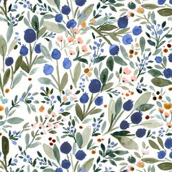 Blueberries in White