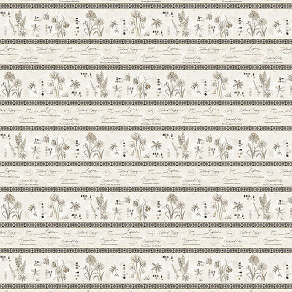 Border Stripe in Multi