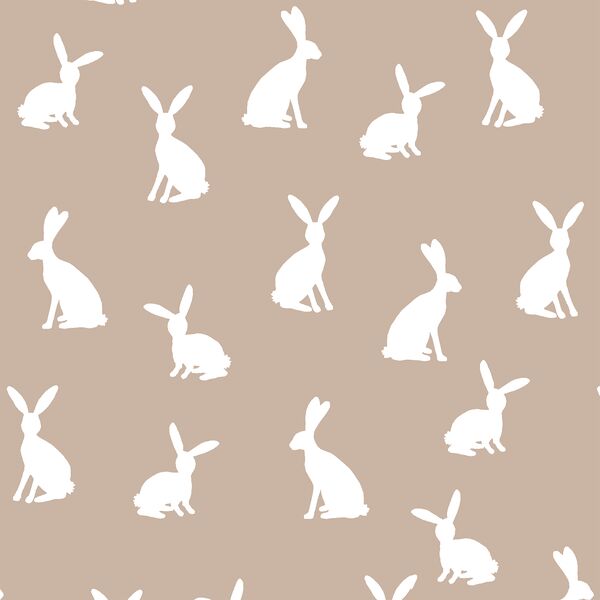 Cottontail Silhouette in Sand