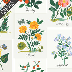 Botanical Prints Canvas in Pink Multi