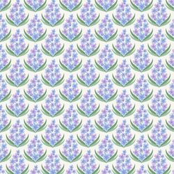 Lavender in Provence