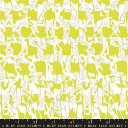 Explore in Citron