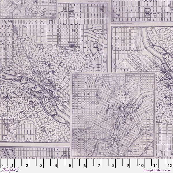 Map in Purple