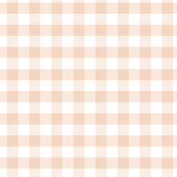Spring Gingham in Shell