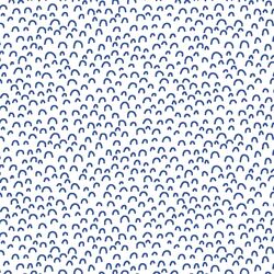 Doodle in Blue Jay on White
