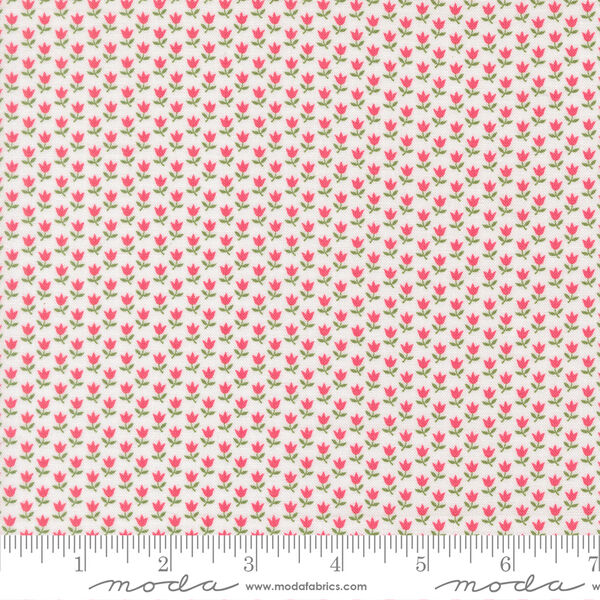 June in Cream Rosie