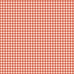 Gingham in Orange