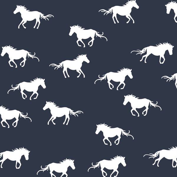 Horse Silhouette in Eclipse