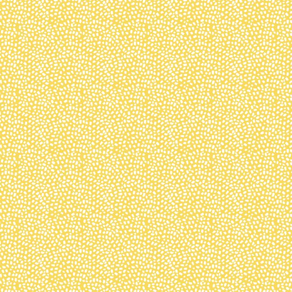 Texture in Sun