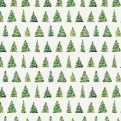 Tree Farm in Snow