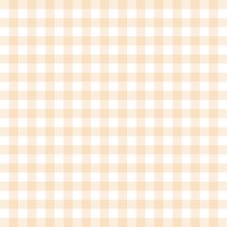 Gingham in Peach
