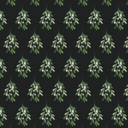 Mistletoe in Midnight