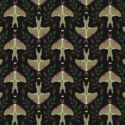 Mystical Moths in Midnight