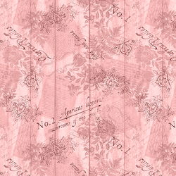 Ephemera in Pink