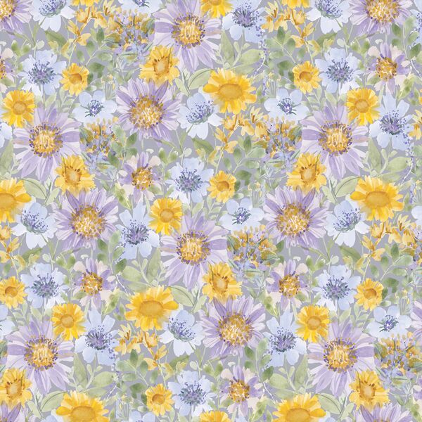Daisy Garden in Fog