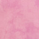 Palette in Petal Pink