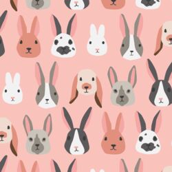 Big Bunny Party in Bubblegum Pink