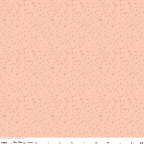 Seedlings in Blush