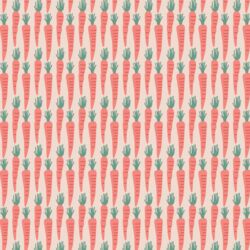 Carrot Patch in Spring