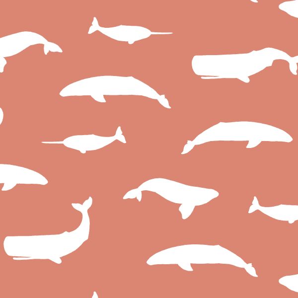 Whale Silhouette in Desert Rose