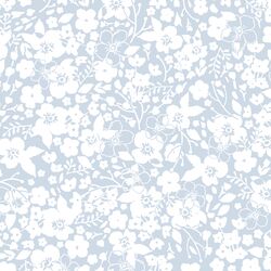 Forget Me Not in Cirrus