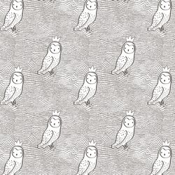Small Crowned Owl in Brown