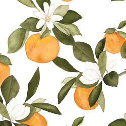 Large Orange Blossom in Grove