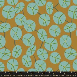Pilea in Tan