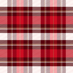 Plaid in Holly