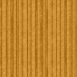 Stripes in Pumpkin