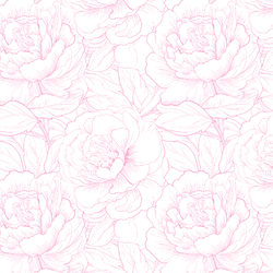 Peony Sketch in Wild Rose