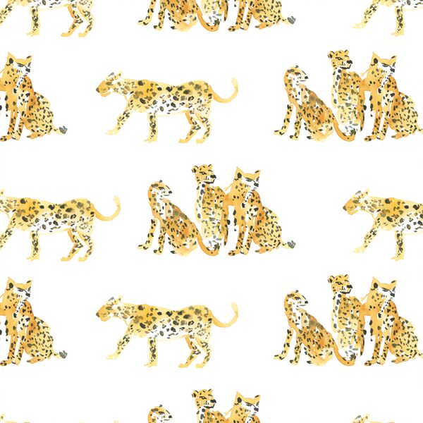 Spotted Cat in White