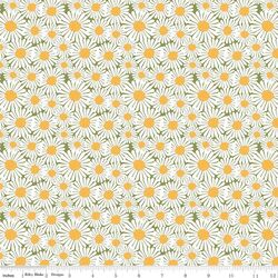 Daisies in Green