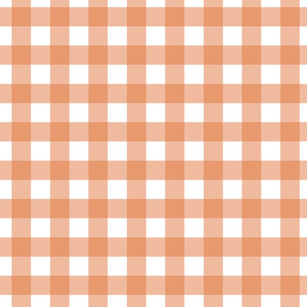 Gingham in Papaya