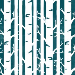 Birches in Juniper