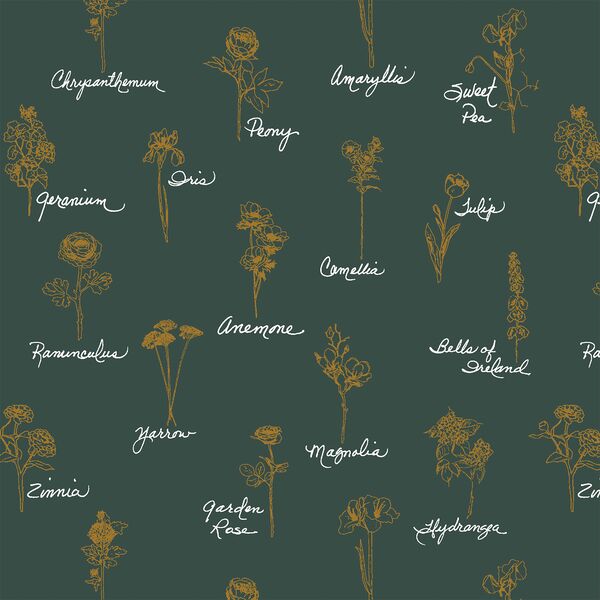 Seasons in Emerald