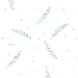 Meteor Shower in Aspen on White