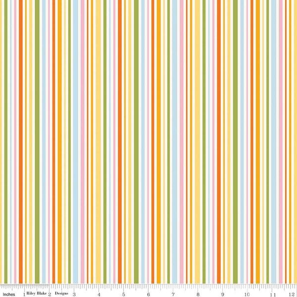 Stripes in Multi