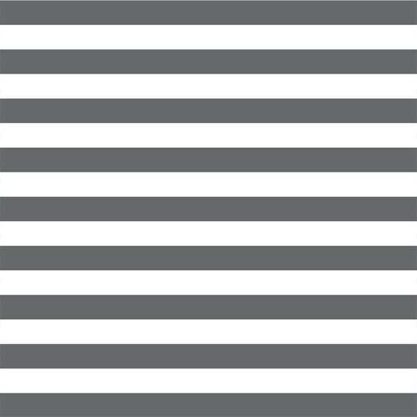 Horizontal Candy Stripe in Charcoal