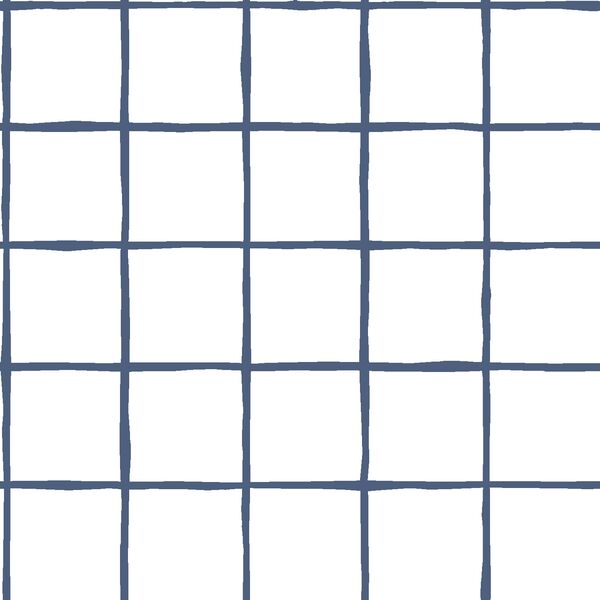 Windowpane in Midnight on White