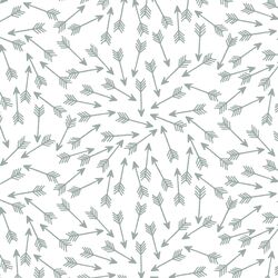 Arrows in Eucalyptus in White