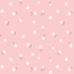 Daisy in Rosy