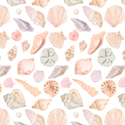 Seashells in Crest