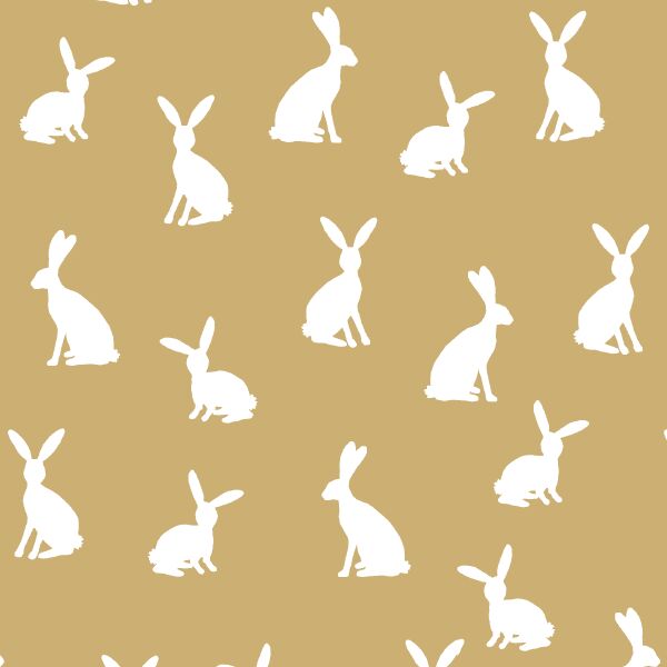 Cottontail Silhouette in Golden Canyon
