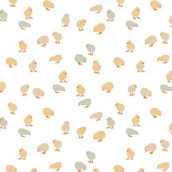 Chicks in Buttercup