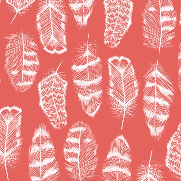 Plume in Salmon