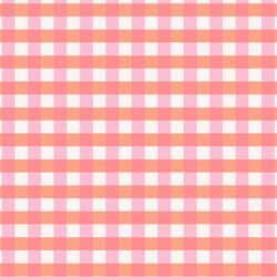 Vibrant Gingham in Melon